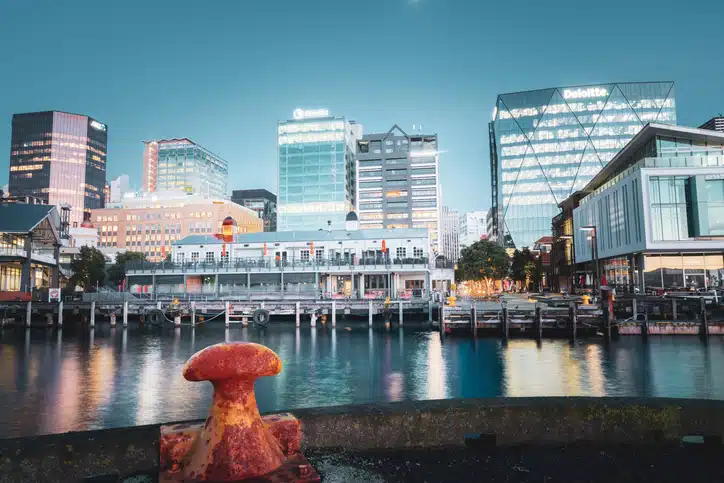 Wellington skyline at night