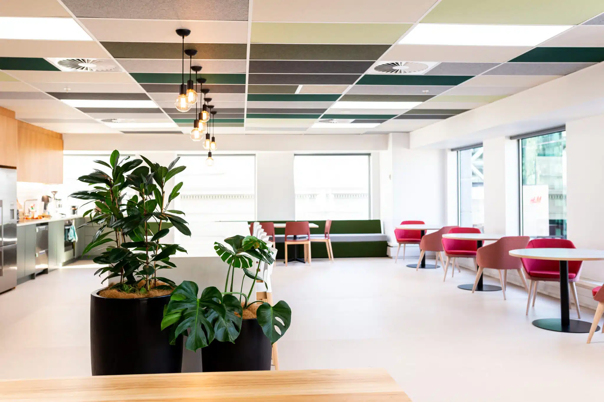 TMNZ's Britomart Office